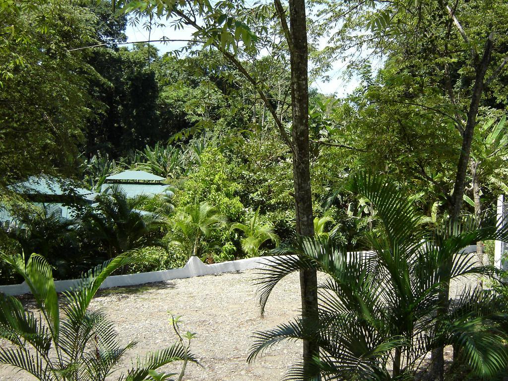 El Colibri Lodge Puerto Manzanillo Exterior foto